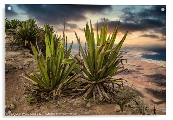 Panorama over Isla Sao Vicente on Cape Verde islands Acrylic by Frank Bach