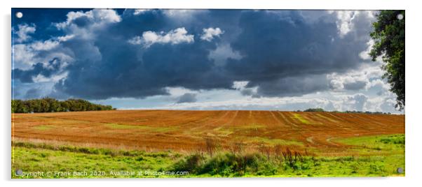 Golden fields at the border between Denmark and Germany near Krusaa, Gendarmstien Acrylic by Frank Bach