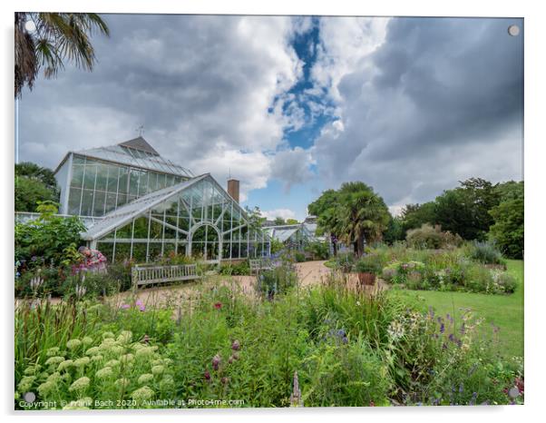 Cambridge botanic garden greenhouses, England Acrylic by Frank Bach