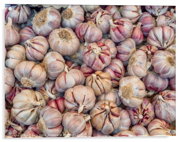 Garlic on a farmers market in Rome Acrylic by Frank Bach