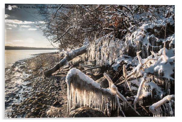 Snow and icicles at the fjord near Vejle in Dennmrk Acrylic by Frank Bach