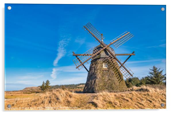 Lygnmoellen, wind mill Thacted with Heather in Western Denmark Acrylic by Frank Bach