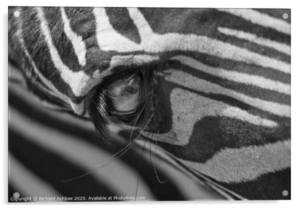 Abstract Zebra Acrylic by Richard Ashbee