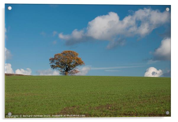 single tree on a farm Acrylic by Richard Ashbee