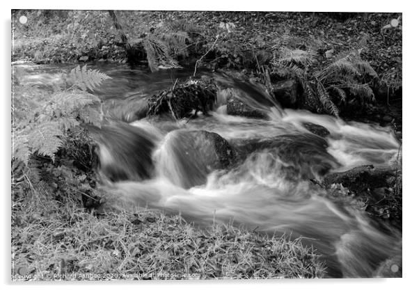 Peak district waterfall at Padley Gorge in black & Acrylic by Richard Ashbee