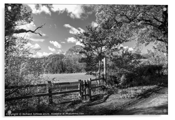 Black & White Farmland walk Acrylic by Richard Ashbee