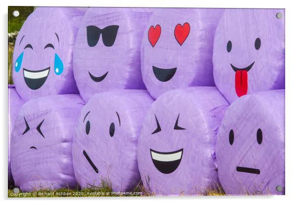 The humorous faces of haybales at Boddam Shetland Acrylic by Richard Ashbee