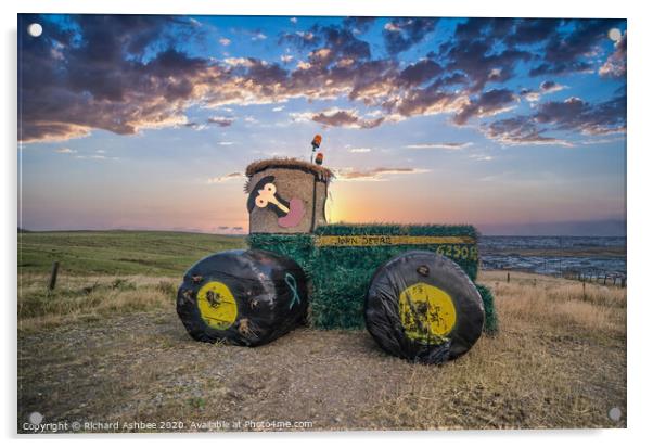 Shetland Tractor made of hay  Acrylic by Richard Ashbee