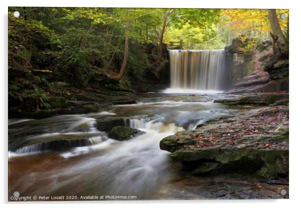 Big Weir Clywedog Valley Acrylic by Peter Lovatt  LRPS