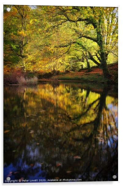 Autumn Reflection Acrylic by Peter Lovatt  LRPS