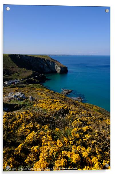 Trebarwith strand from the south west coast path Acrylic by Peter Barber