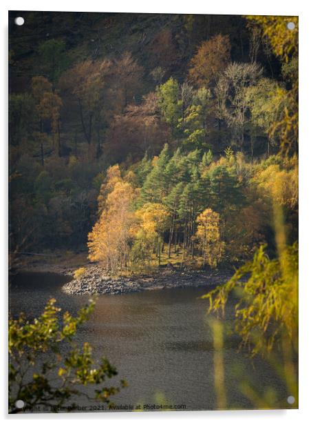 Autumn trees on the shores of Thirlmere Acrylic by Peter Barber