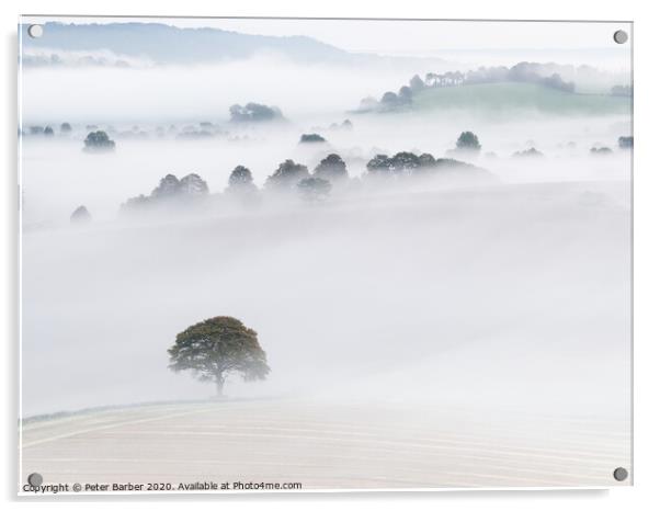 South Downs Mist Layers Acrylic by Peter Barber
