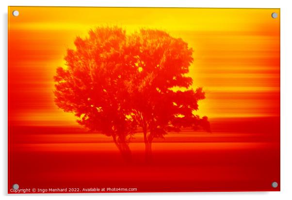Serengeti tree in sunset  Acrylic by Ingo Menhard