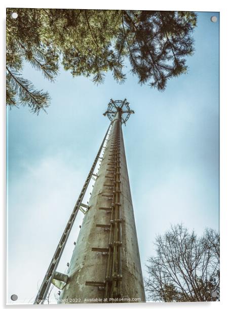 Telecommunication tower in the woods  Acrylic by Ingo Menhard
