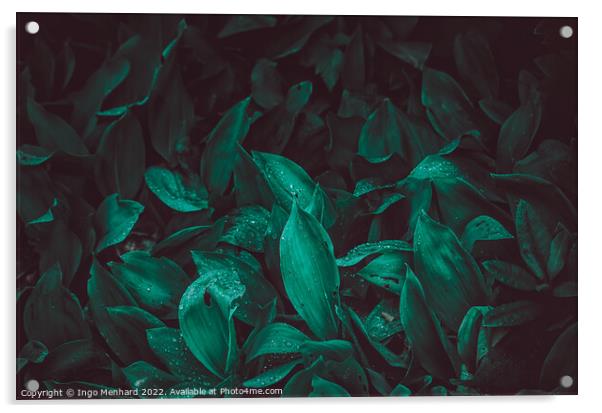 The fresh green Acrylic by Ingo Menhard