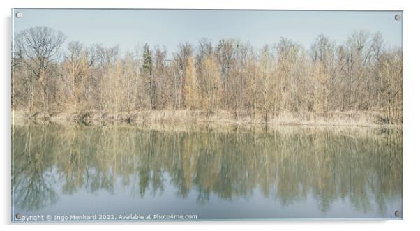 Trees are reflected in the water of the forest lake Acrylic by Ingo Menhard