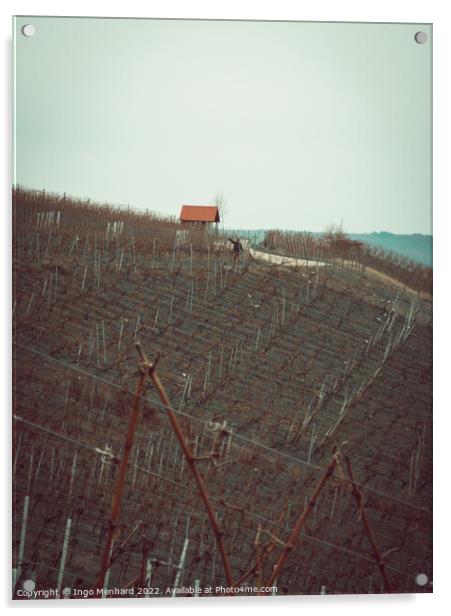 Vertical shot of a small building in the agricultural lands Acrylic by Ingo Menhard