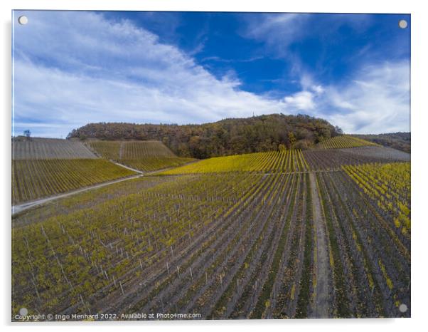 A beautiful view of the rows of vineyards under dramatic sky Acrylic by Ingo Menhard