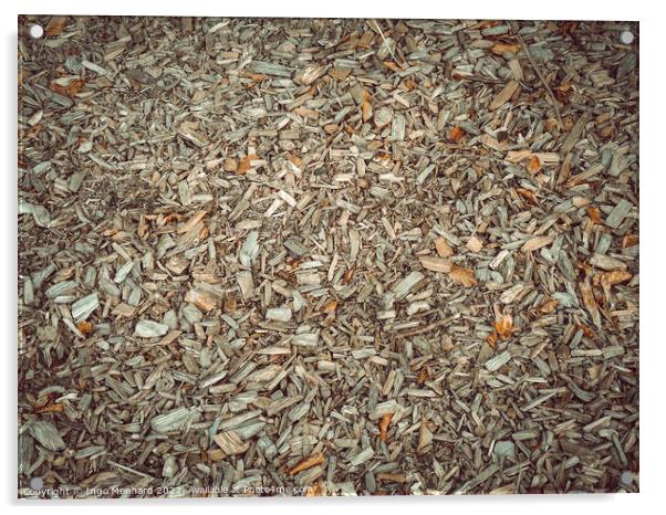 Dried plants on the ground in autumn weather Acrylic by Ingo Menhard