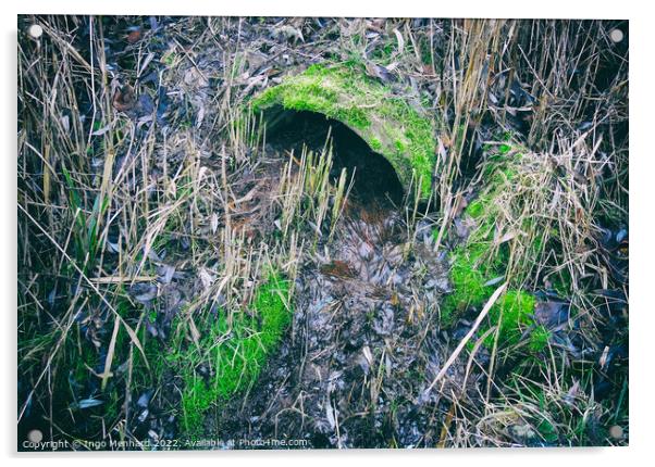 Partially clogged old concrete drain pipe surrounded by grass and moss Acrylic by Ingo Menhard