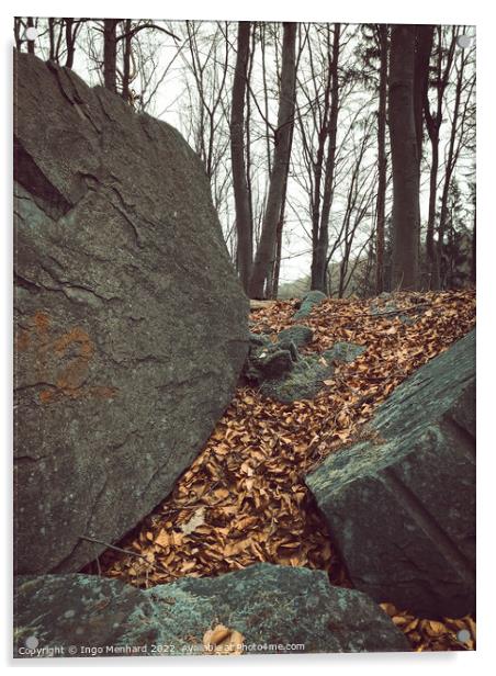 Vertical shot of big rocks and brown fallen leaves on the ground with bare trees in the background Acrylic by Ingo Menhard