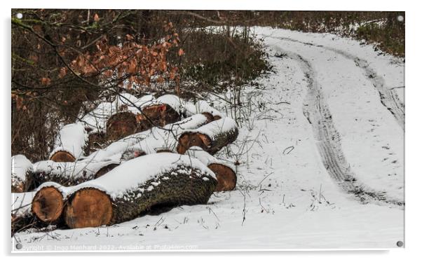 Sawed big tree trunks on the side of the road covered in snow in the woods Acrylic by Ingo Menhard