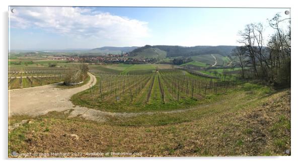 Vineyard panorama in Bavaria in early spring  Acrylic by Ingo Menhard