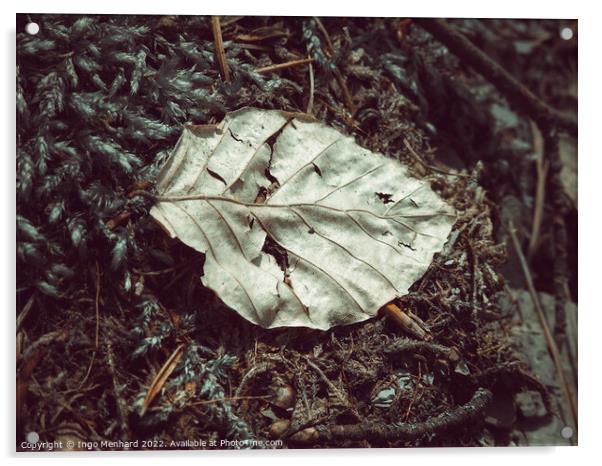 Aged leaf on the ground Acrylic by Ingo Menhard
