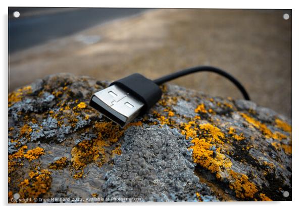 Closeup shot of a USB cord on a moldy rock Acrylic by Ingo Menhard