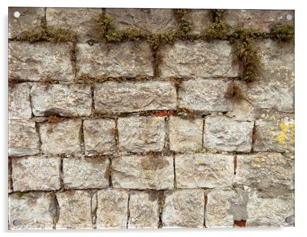 Texture of a weathered stone wall with dry grass Acrylic by Ingo Menhard