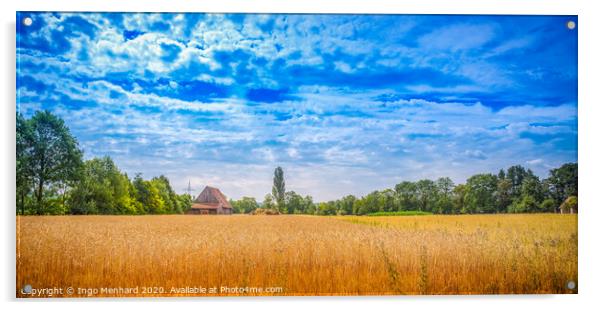 Summer field Acrylic by Ingo Menhard