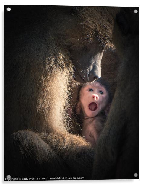 Save monkey baby Acrylic by Ingo Menhard