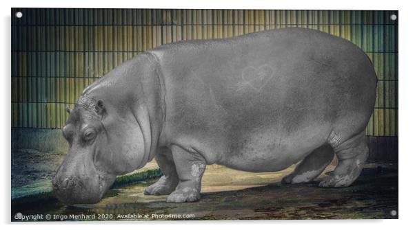 The hippo Acrylic by Ingo Menhard