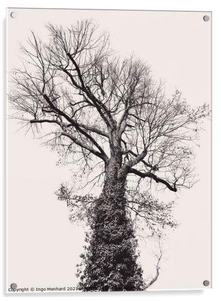 Black and artful big tree on beige background Acrylic by Ingo Menhard