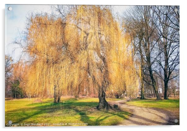 Weeping willow tree Acrylic by Ingo Menhard