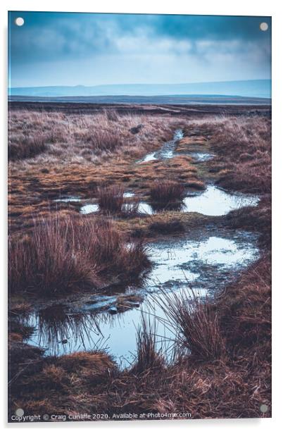 Harsh Moorland winter, Belmont Acrylic by Craig Cunliffe