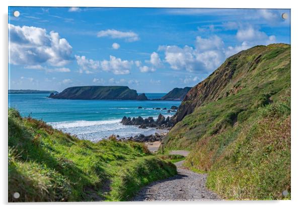 The path to Marloes Sands in Pembrokeshire  Acrylic by Tracey Turner