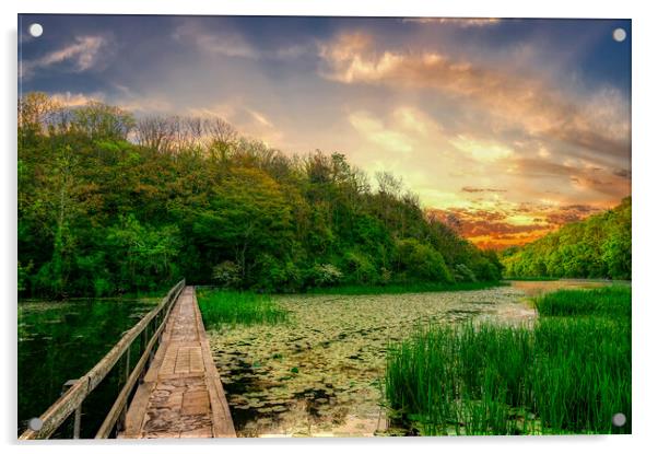 Enchanting Sunrise at The Bosherston Lily Ponds Acrylic by Tracey Turner