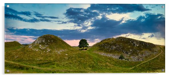 Stunning Panoramic Sunset at Sycamore Gap, Hadrian Acrylic by Tracey Turner