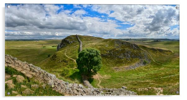 Stunning Sycamore Gap and Hadrian's Wall Panorama  Acrylic by Tracey Turner