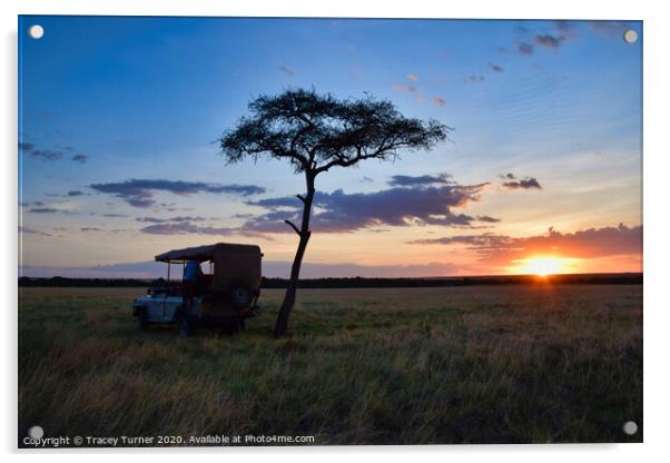African Sundowner - Sunset in Kenya Acrylic by Tracey Turner