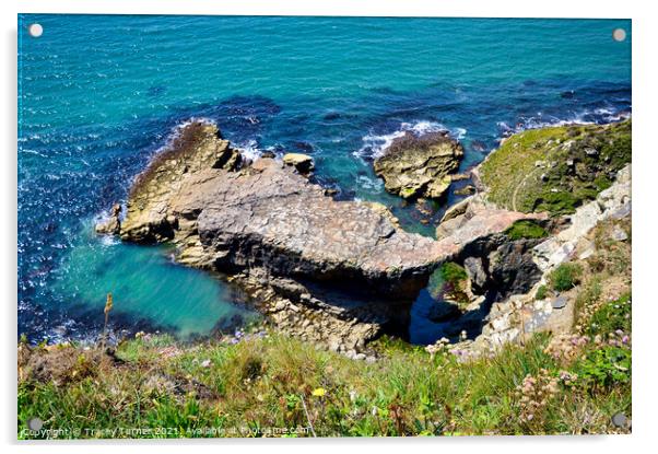 Pembrokeshire Coast Path Acrylic by Tracey Turner