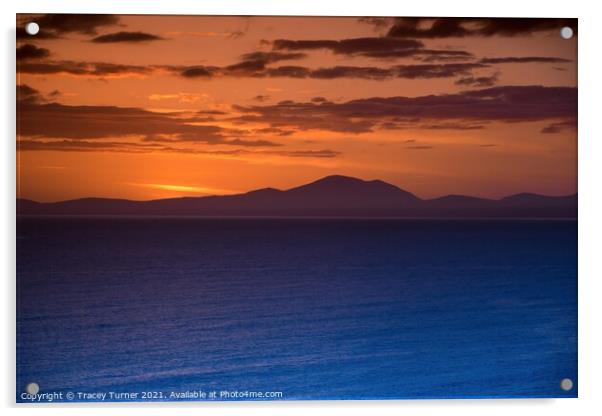 Vibrant Sunset Silhouette Acrylic by Tracey Turner