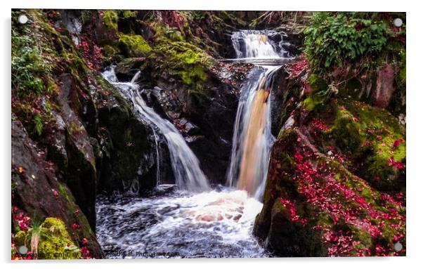 Ingleton Waterfalls Trail Acrylic by Jim Day