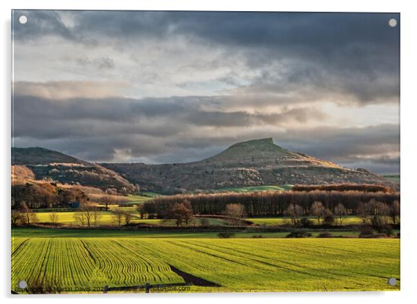 Roseberry Topping from the North Acrylic by Martin Davis