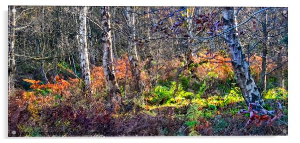 Autumn Woodland Acrylic by Martin Davis