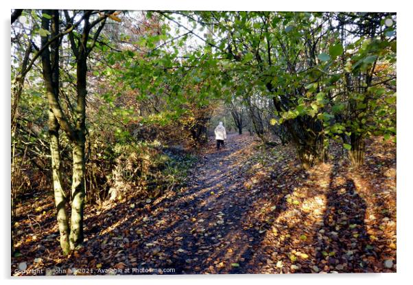 Autumn woodland Walk, Derbyshire, UK. Acrylic by john hill