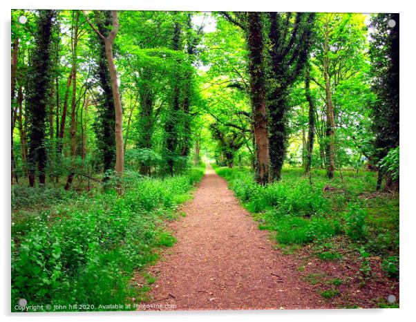 Forest footpath. Acrylic by john hill
