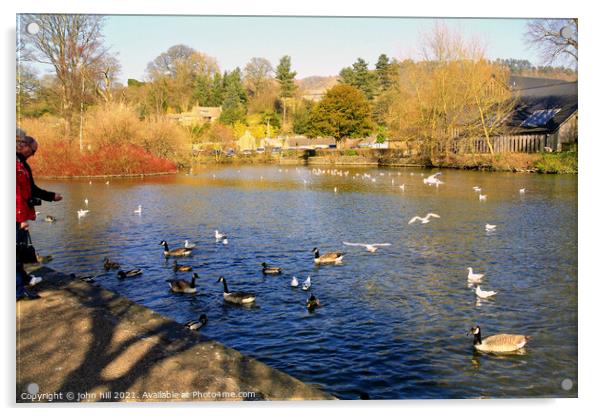 Feed the birds on the River Wye at Bakewell in Derbyshire. Acrylic by john hill